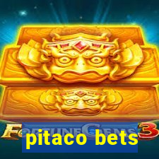 pitaco bets
